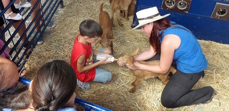 Actividades infantiles y para toda la familia en la Fiesta de la cabra malagueña, este fin de semana en Casabermeja