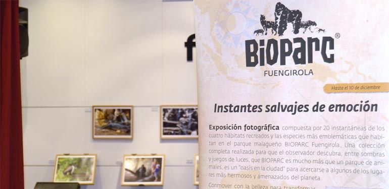 Una exposición de fotografías para toda la familia: 'Instantes salvajes de Emoción' de Bioparc en Fnac Málaga y Fnac Marbella