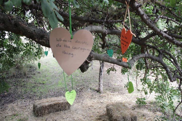 Hotel de insectos en Arboretum Marbella: plan para niños en la naturaleza