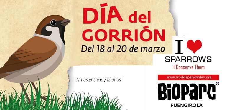 Día del gorrión en Bioparc Fuengirola