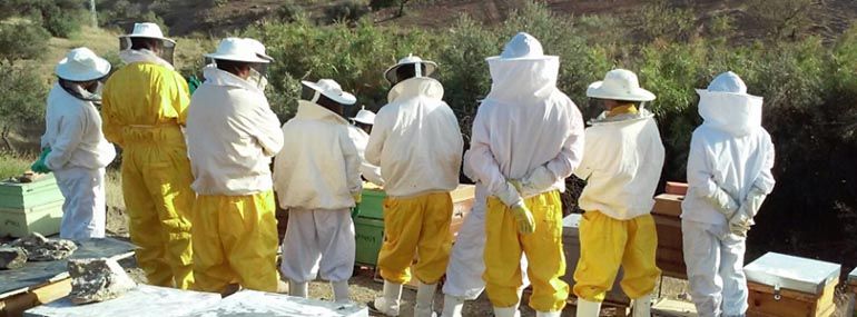 Talleres de apicultura para niños y familias en Málaga