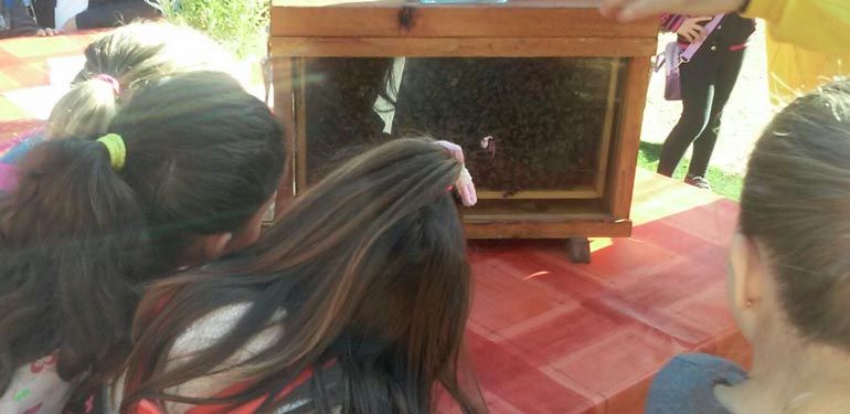 Taller de apicultura para niños en Málaga por el Día Mundial de la Abeja