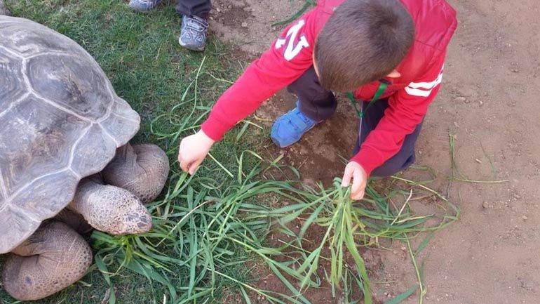 Actividades infantiles en Bioparc Fuengirola para comenzar el verano de una forma original y divertida