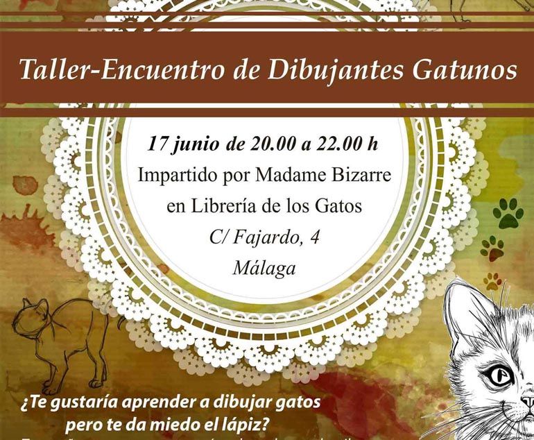 Taller de dibujo gatuno para mayores de 12 años y adultos en la Librería de los Gatos de Málaga