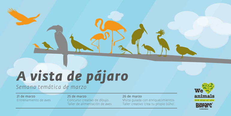 Actividades para niños durante la semana de las aves de Bioparc Fuengirola