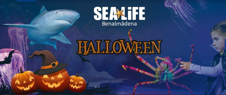 Actividades para niños de Halloween en Sea Life Benalmádena