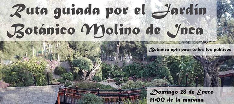 Visita con niños el Jardín Botánico del Molino de Inca en Torremolinos
