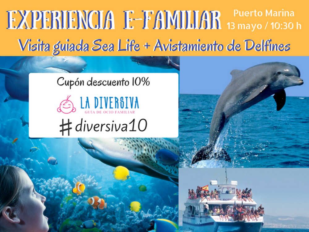 Descuento para los lectores de La Diversiva en el evento de visita al Sea Life y avistamiento de delfines de E-Familiar