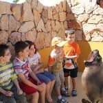 Campamento de verano para niños en Selwo Marina Benalmádena