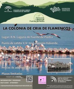 Cartel visitas a la colonia de cría de flamencos en Fuente de Piedra