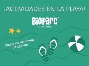 Actividades en las playas de Fuengirola para niños gratis con Bioparc