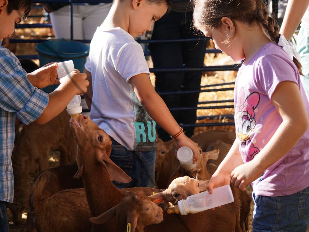 Actividades para niños en la XI Fiesta de la Cabra Malagueña de Casabermeja