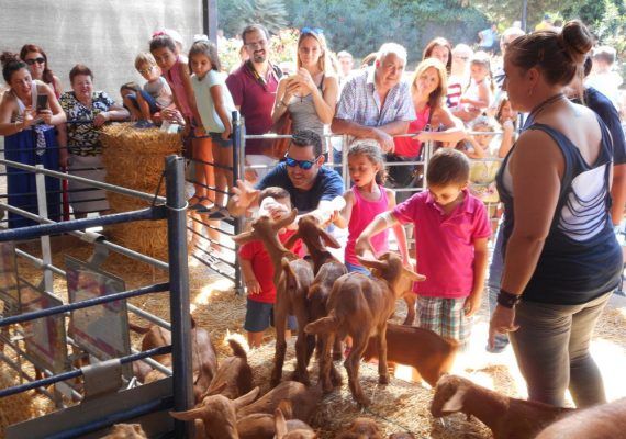Actividades para niños en la X Fiesta de la Cabra Malagueña en Casabermeja