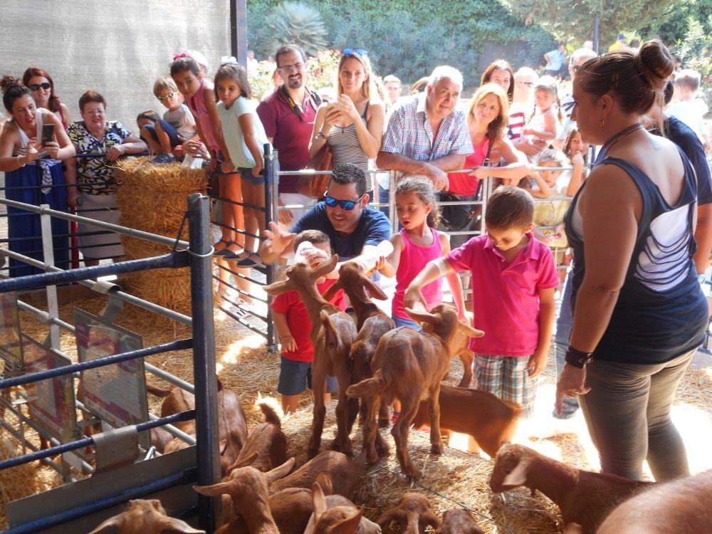 Actividades para niños en la X Fiesta de la Cabra Malagueña en Casabermeja