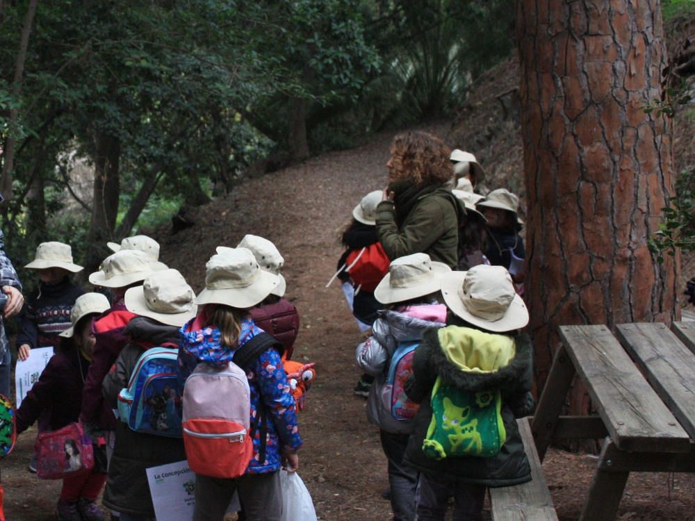 Campamento de aventura para niños en Semana Blanca con el Jardín Botánico-Histórico La Concepción en Málaga