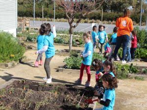 Deportes y animales en el campamento infantil de Semana Santa en Verdecora Málaga