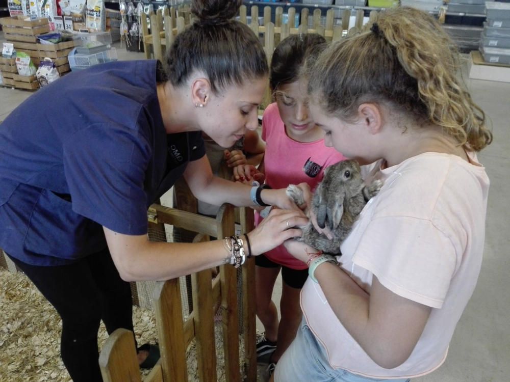 Campamentos veterinarios para niños durante mayo en Málaga con Sportislive