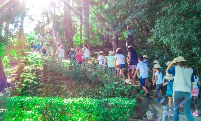 Campamento de verano infantil en el Jardín Botánico La Concepción de Málaga