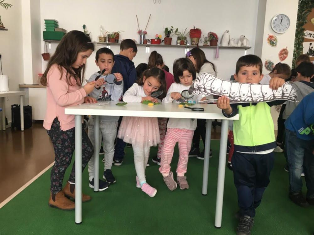 Campamento de verano para niños en La Ciudad de Waigo (Málaga) con cocina, arte y teatro