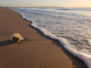 Datos para concienciar a los niños sobre la limpieza de las playas