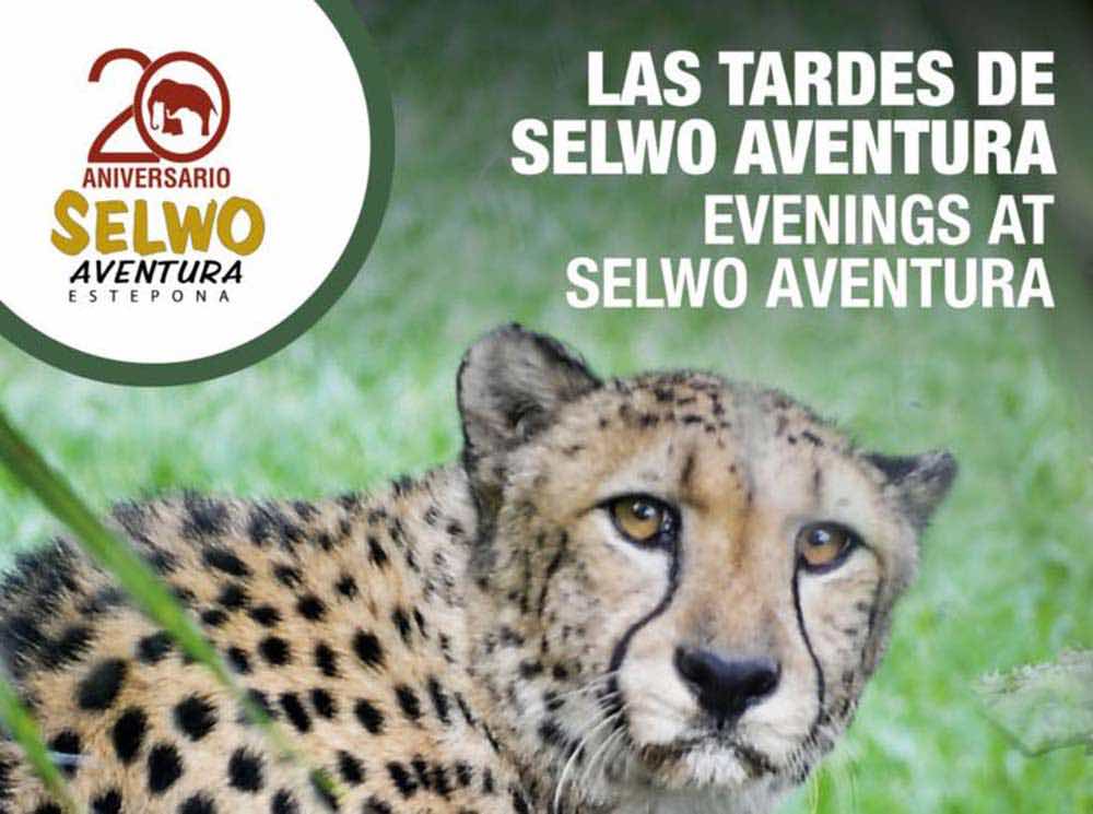 Actividades para niños las tardes de agosto en Selwo Aventura Estepona