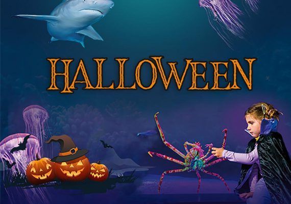 Actividades de Halloween para niños en Sea Life Benalmádena