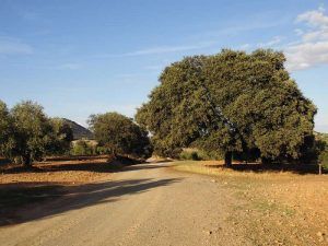Ruta de senderismo en familia por Archidona – Villanieva de Tapia