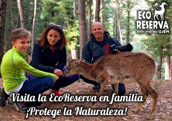 Taller para niños y toda la familia 'Bosque Escuela' en Ojén (Málaga)