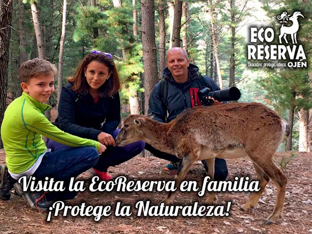 Taller para niños y toda la familia ‘Bosque Escuela’ en Ojén (Málaga)