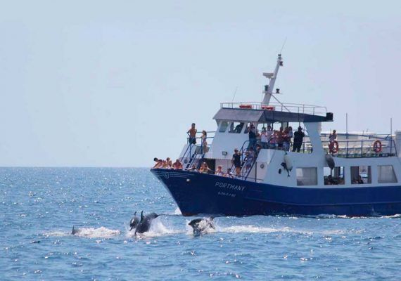 Ver delfines en libertad con niños: Alborán Explorer en Fuengirola