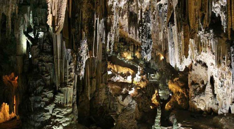 Visita en familia la Cueva de Nerja y conoce la historia de tus antepasados