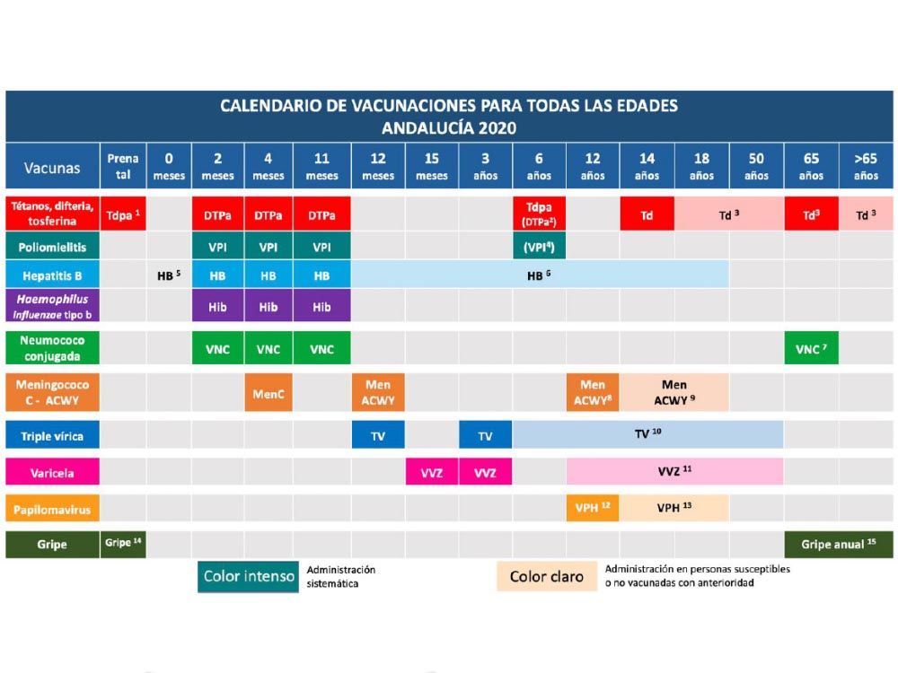 Calendario de vacunación infantil de Andalucía 2020