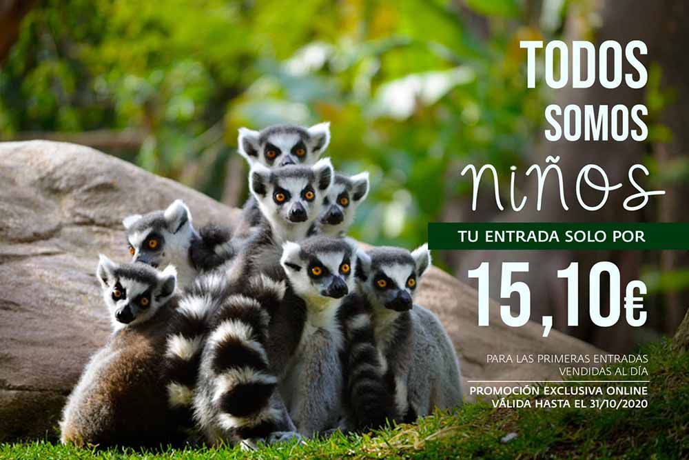 Ahórrate hasta 6€ en tu entrada general de Bioparc Fuengirola este octubre