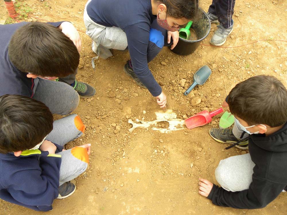 Campamento de verano prehistórico para niños en Málaga con ArqueoEduca