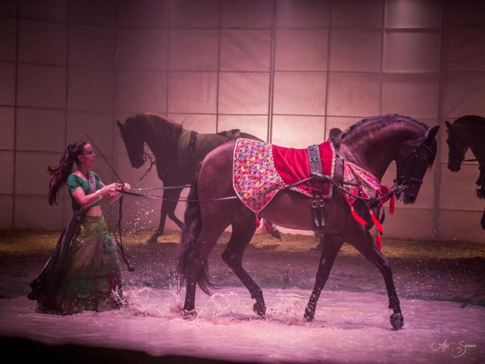 Gompa: espectáculo de caballos para familias en Alhaurín de la Torre