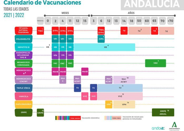⇨ Calendario de infantil de Andalucía