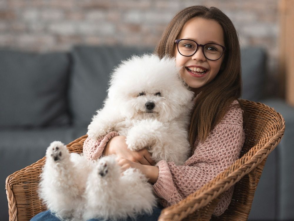 Cómo puede colaborar tu hijo o hija en los cuidados de vuestro perro