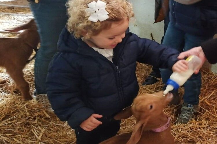 Celebra el cumpleaños de tu niño o niña con La Cabra Malagueña en Casabermeja