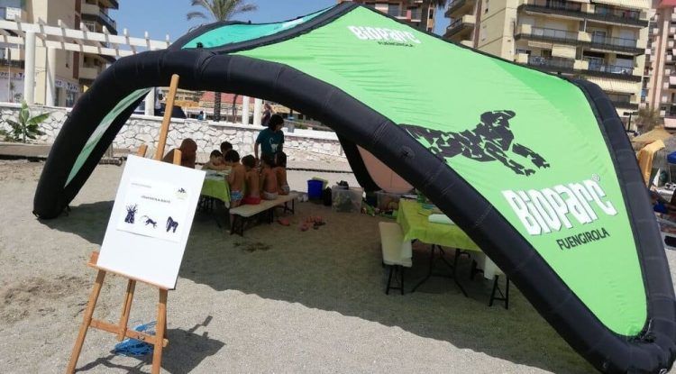 Actividades en la playa gratis para niños con Bioparc Fuengirola