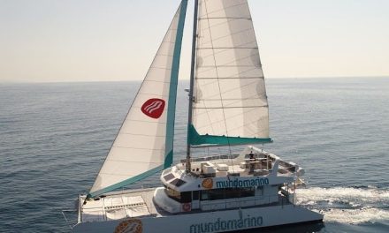 Conoce en familia la costa de Málaga con los paseos en barco de Mundo Marino
