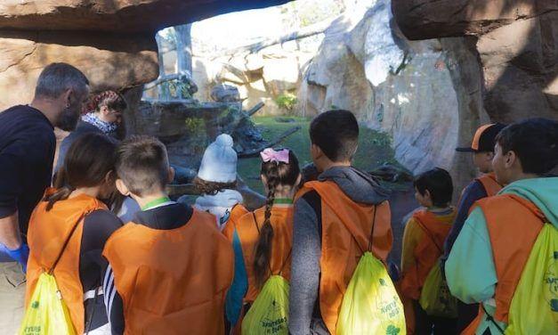 Campamento de verano para niños en Bioparc Fuengirola