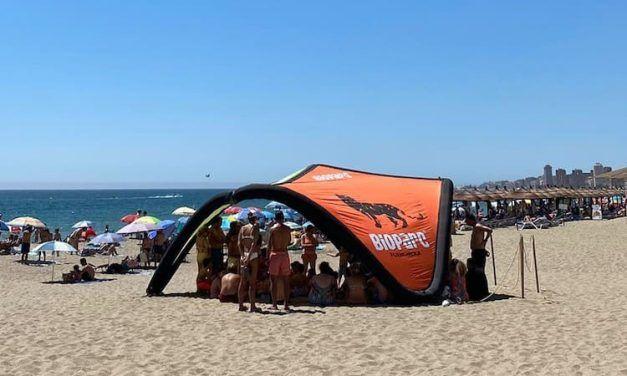 Actividades gratis para niños los domingos de agosto en la playa con Bioparc Fuengirola