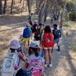 Campamento de verano en Málaga de arqueología y naturaleza para niños con ArqueoEduca