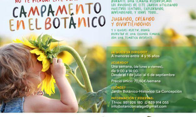 Campamento de verano para niños y niñas en el Jardín Botánico Histórico La Concepción de Málaga